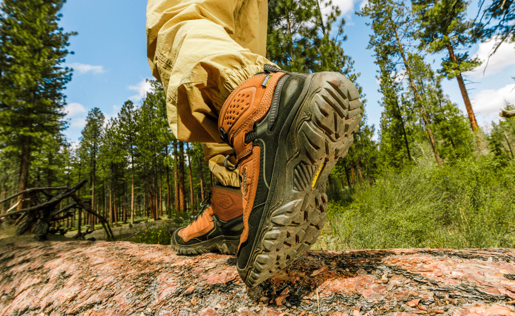 Men's Targhee IV Waterproof Hiking Boot Brindle/Canteen - Image 7