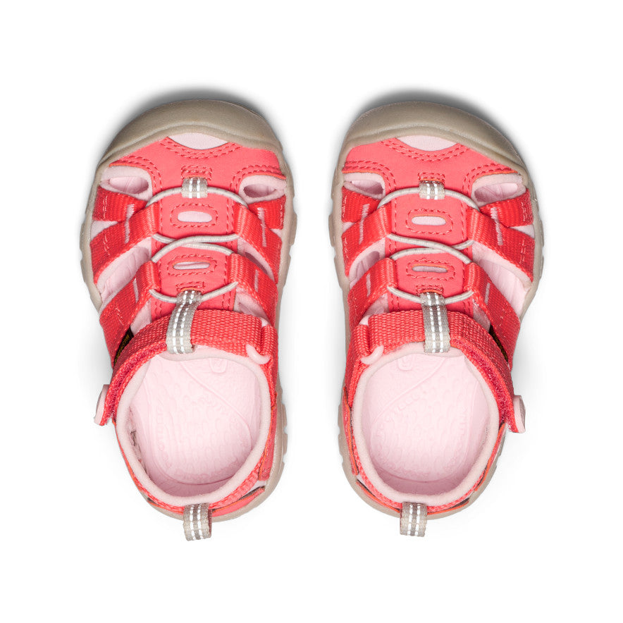 Toddlers' Seacamp II CNX Dubarry/Giggle Pink - Image 4